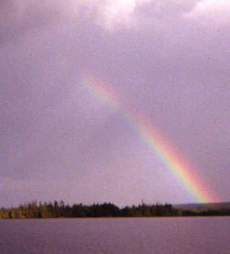 rainbow-cropped.jpg